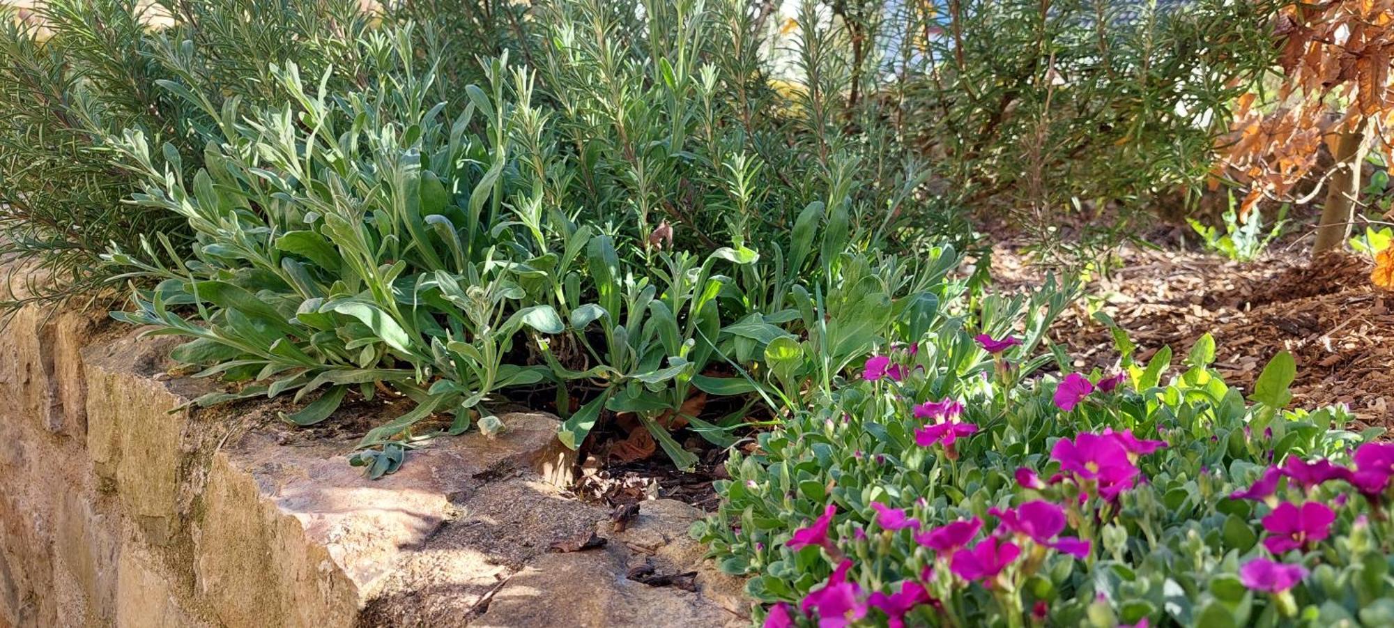 Denkmalgeschuetztes Ferienhaus In Der Suedeifel - Ferienhaus Hazen Bettingen Bagian luar foto
